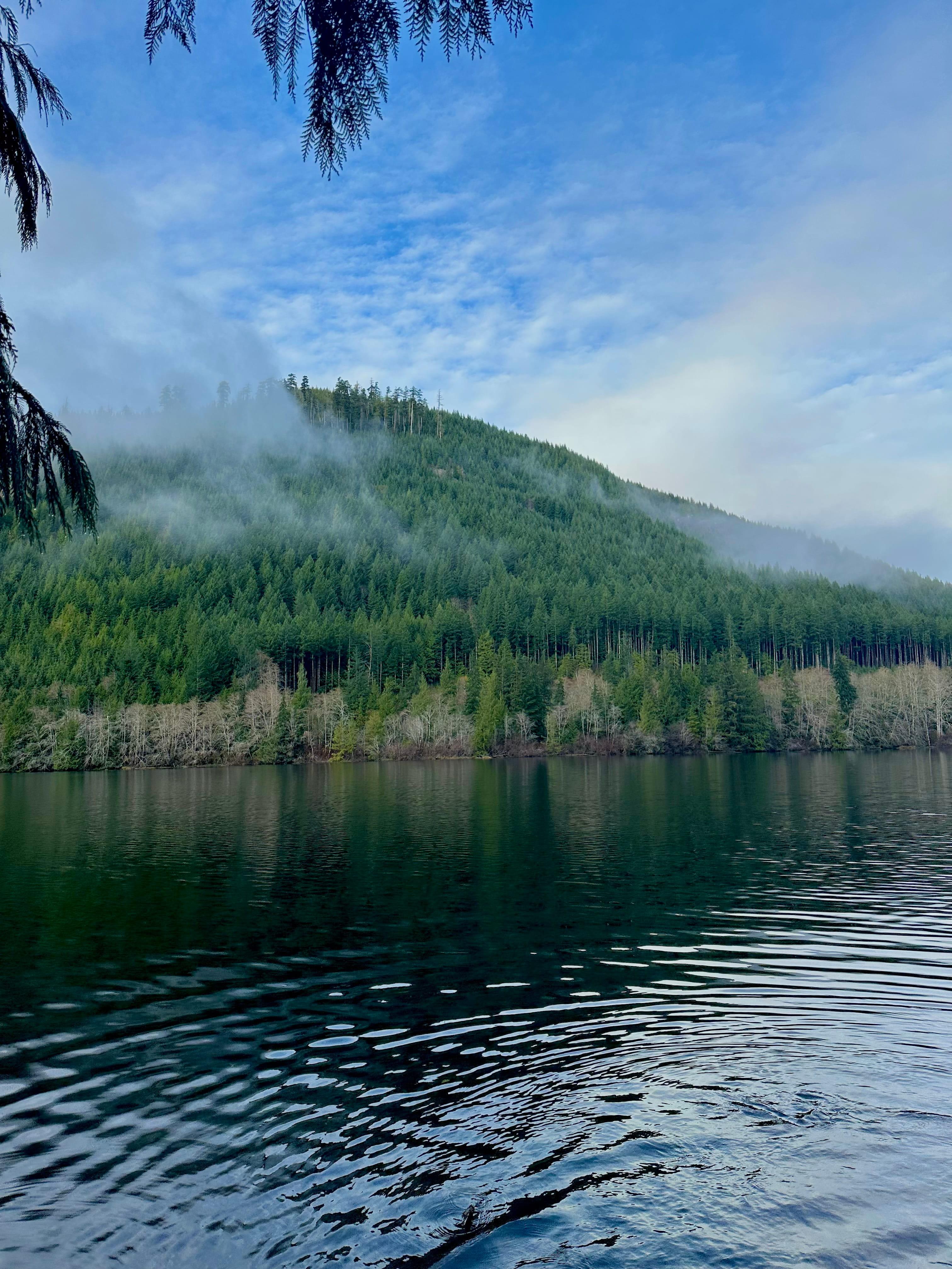 Misty forested hillside reflected in still water near Duncan, BC